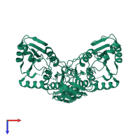 Papain-like protease nsp3 in PDB entry 2wct, assembly 2, top view.