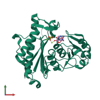 PDB entry 2wef coloured by chain, front view.