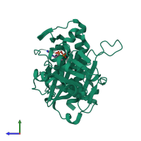 PDB entry 2wef coloured by chain, side view.