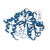 The deposited structure of PDB entry 2whk contains 1 copy of Pfam domain PF02156 (Glycosyl hydrolase family 26) in Mannan endo-1,4-beta-mannosidase. Showing 1 copy in chain A.