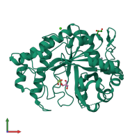 PDB entry 2whk coloured by chain, front view.