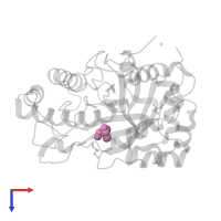 2-AMINO-2-HYDROXYMETHYL-PROPANE-1,3-DIOL in PDB entry 2whk, assembly 1, top view.