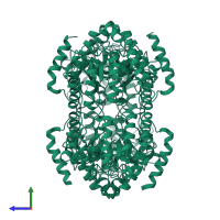 Homo tetrameric assembly 1 of PDB entry 2wo5 coloured by chemically distinct molecules, side view.