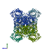 PDB entry 2wvg coloured by chain, side view.