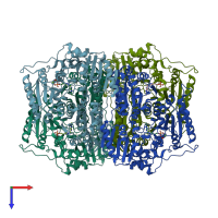 PDB entry 2wvg coloured by chain, top view.