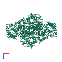 Pyruvate decarboxylase in PDB entry 2wvg, assembly 2, top view.