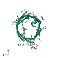 PDB entry 2wvp coloured by chain, side view.