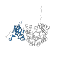 The deposited structure of PDB entry 2wvw contains 8 copies of Pfam domain PF02788 (Ribulose bisphosphate carboxylase large chain, N-terminal domain) in Ribulose bisphosphate carboxylase large chain. Showing 1 copy in chain A.