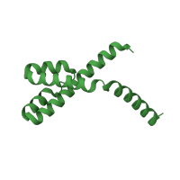 The deposited structure of PDB entry 2wvw contains 16 copies of Pfam domain PF02341 (RbcX protein) in RuBisCO chaperone RbcX. Showing 1 copy in chain I.