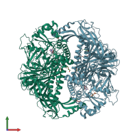 PDB entry 2wyi coloured by chain, front view.