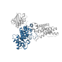 The deposited structure of PDB entry 2wzh contains 1 copy of CATH domain 3.20.20.80 (TIM Barrel) in O-GlcNAcase BT_4395. Showing 1 copy in chain A.