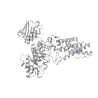 The deposited structure of PDB entry 2wzh contains 1 copy of Pfam domain PF18344 (Carbohydrate binding module family 32) in O-GlcNAcase BT_4395. Showing 1 copy in chain A.