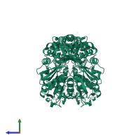 ORN/LYS/ARG DECARBOXYLASE FAMILY PROTEIN in PDB entry 2x3l, assembly 1, side view.