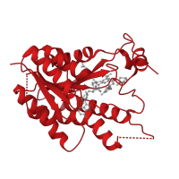 The deposited structure of PDB entry 2x9n contains 4 copies of CATH domain 3.40.50.720 (Rossmann fold) in Pteridine reductase. Showing 1 copy in chain C.