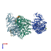 PDB entry 2xav coloured by chain, top view.