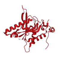 The deposited structure of PDB entry 2xbu contains 2 copies of CATH domain 3.40.50.2020 (Rossmann fold) in Hypoxanthine-guanine phosphoribosyltransferase. Showing 1 copy in chain B.