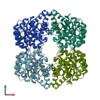 PDB entry 2xfw coloured by chain, front view.