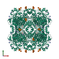 Homo octameric assembly 1 of PDB entry 2xmc coloured by chemically distinct molecules, front view.