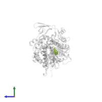 2,4-DICHLORO-6-(3,4,5-TRIBROMO-1H-PYRROL-2-YL)PHENOL in PDB entry 2xo8, assembly 1, side view.