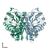 PDB entry 2xsx coloured by chain, front view.