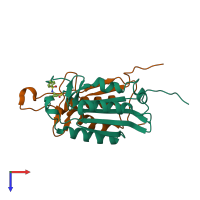 PDB entry 2xyg coloured by chain, top view.
