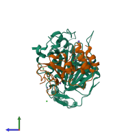 PDB entry 2xyv coloured by chain, side view.