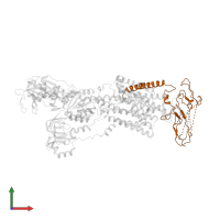 Potassium-transporting ATPase subunit beta in PDB entry 2xzb, assembly 1, front view.