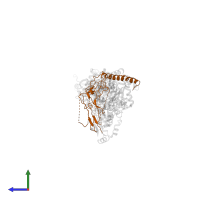 Potassium-transporting ATPase subunit beta in PDB entry 2xzb, assembly 1, side view.