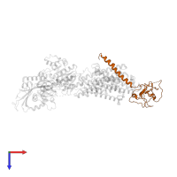 Potassium-transporting ATPase subunit beta in PDB entry 2xzb, assembly 1, top view.