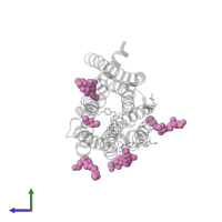 HEGA-10 in PDB entry 2y02, assembly 1, side view.