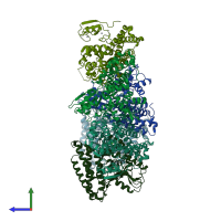 PDB entry 2y1m coloured by chain, side view.