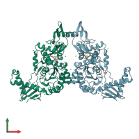 PDB entry 2y2q coloured by chain, front view.