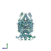 PDB entry 2y37 coloured by chain, side view.