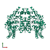 Nitric oxide synthase, inducible in PDB entry 2y37, assembly 2, front view.