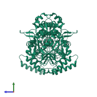 Nitric oxide synthase, inducible in PDB entry 2y37, assembly 2, side view.