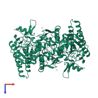 Nitric oxide synthase, inducible in PDB entry 2y37, assembly 2, top view.