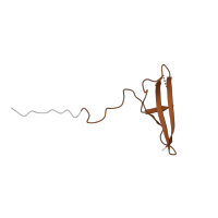 The deposited structure of PDB entry 2y8l contains 1 copy of Pfam domain PF04739 (5'-AMP-activated protein kinase beta subunit, interaction domain) in 5'-AMP-activated protein kinase subunit beta-2. Showing 1 copy in chain B.