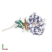 PDB entry 2y8l coloured by chain, front view.