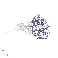 5'-AMP-activated protein kinase subunit gamma-1 in PDB entry 2y8l, assembly 1, front view.