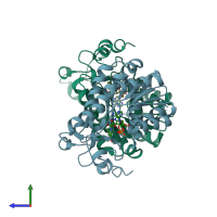 PDB entry 2y99 coloured by chain, side view.