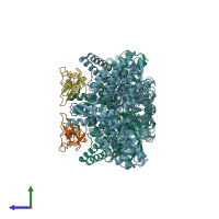 PDB entry 2yaj coloured by chain, side view.