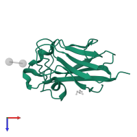 CARBOHYDRATE BINDING FAMILY 6 in PDB entry 2yb7, assembly 1, top view.