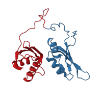 The deposited structure of PDB entry 2yh0 contains 2 copies of CATH domain 3.30.70.330 (Alpha-Beta Plaits) in Splicing factor U2AF 65 kDa subunit. Showing 2 copies in chain A.