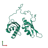 Splicing factor U2AF 65 kDa subunit in PDB entry 2yh0, assembly 1, front view.
