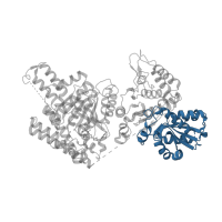 The deposited structure of PDB entry 2yic contains 4 copies of CATH domain 3.40.50.11610 (Rossmann fold) in Multifunctional 2-oxoglutarate metabolism enzyme. Showing 1 copy in chain A.