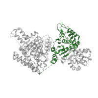 The deposited structure of PDB entry 2yic contains 4 copies of CATH domain 3.40.50.12470 (Rossmann fold) in Multifunctional 2-oxoglutarate metabolism enzyme. Showing 1 copy in chain A.