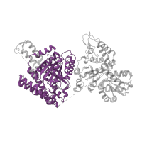 The deposited structure of PDB entry 2yic contains 4 copies of CATH domain 3.40.50.970 (Rossmann fold) in Multifunctional 2-oxoglutarate metabolism enzyme. Showing 1 copy in chain A.