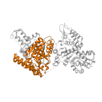 The deposited structure of PDB entry 2yic contains 4 copies of Pfam domain PF00676 (Dehydrogenase E1 component) in Multifunctional 2-oxoglutarate metabolism enzyme. Showing 1 copy in chain A.