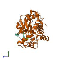 PDB entry 2z70 coloured by chain, side view.