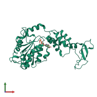 PDB entry 2zan coloured by chain, front view.